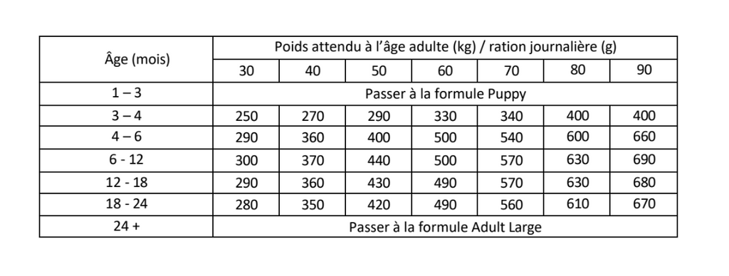 Brit Fresh - Bœuf et citrouille pour chiots de grandes races – Muscles et articulations- 12KG